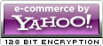 ecommerce by Yahoo! - 128 bit encryption